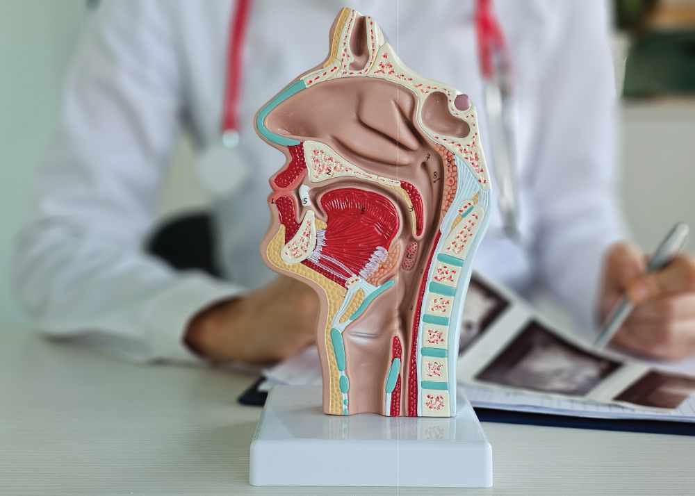 الأنف والأذن والحنجرة