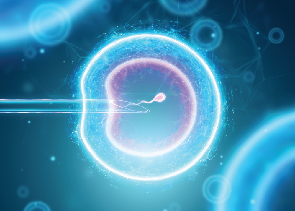 Ask Our Fertility Specialist: Your IVF Questions Answered 