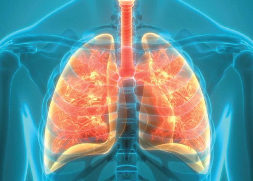 أمراض الجهاز التنفسي