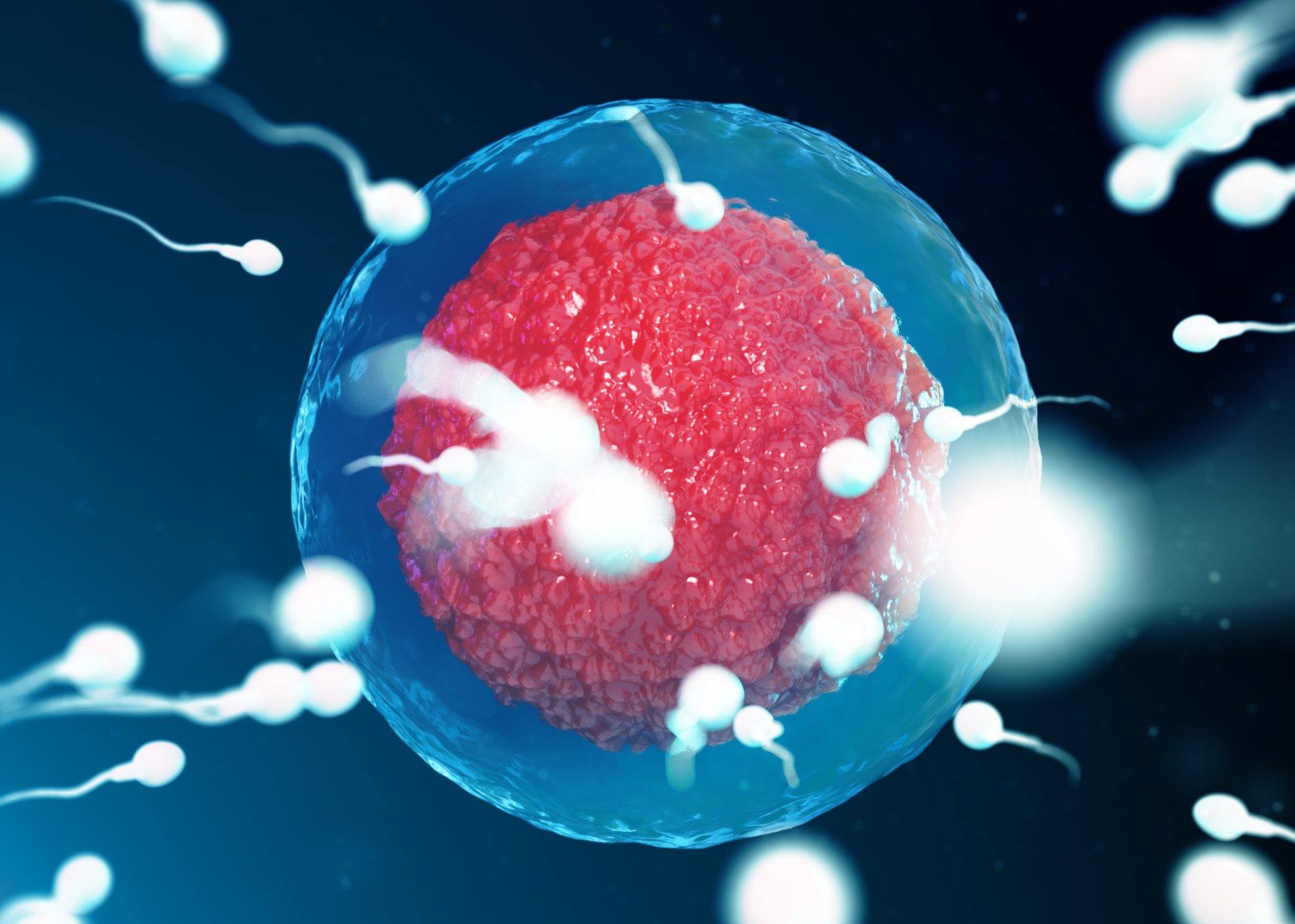 Preimplantation Genetic Testing (PGT)