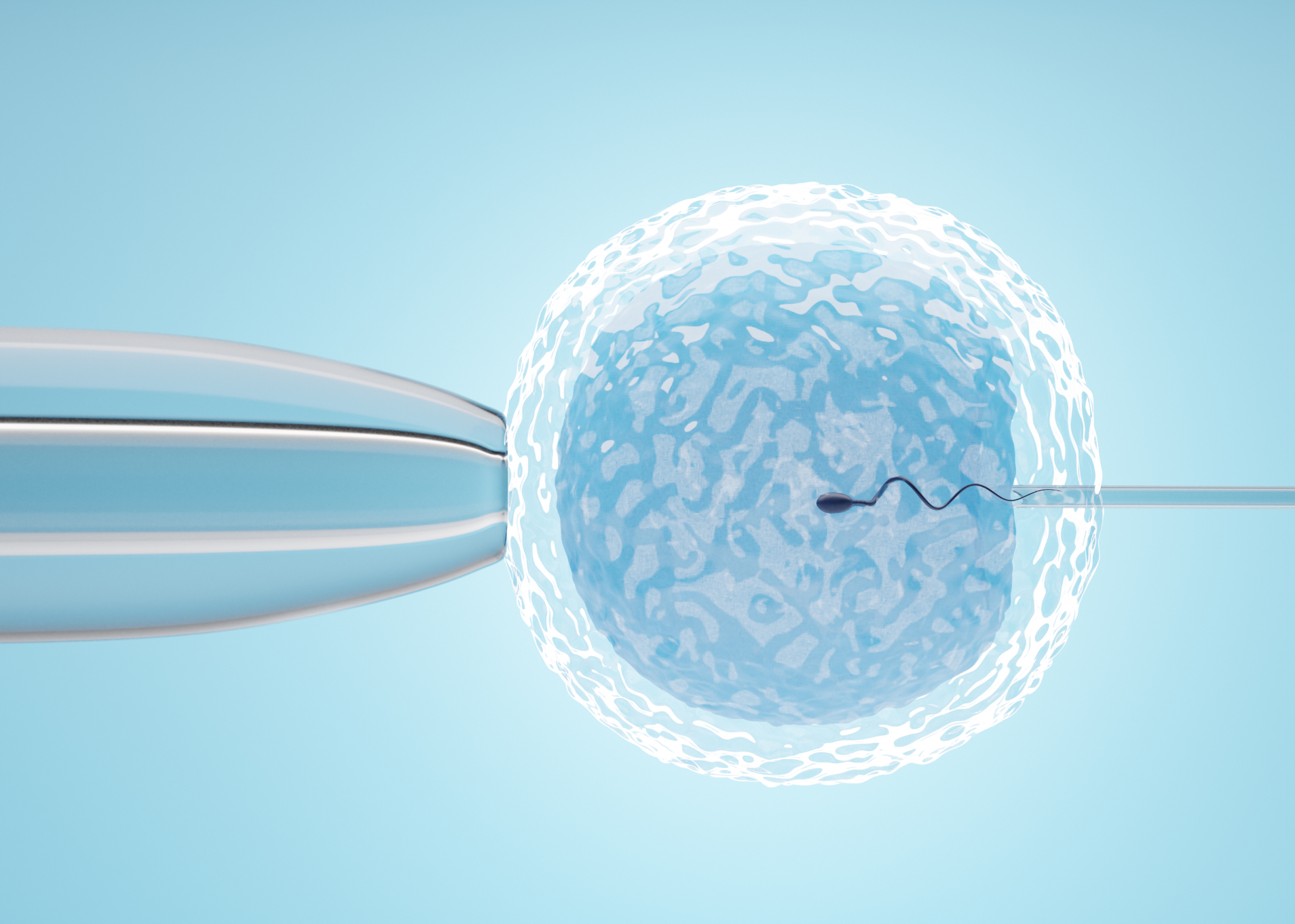 Fertility (IVF) Specialized Center