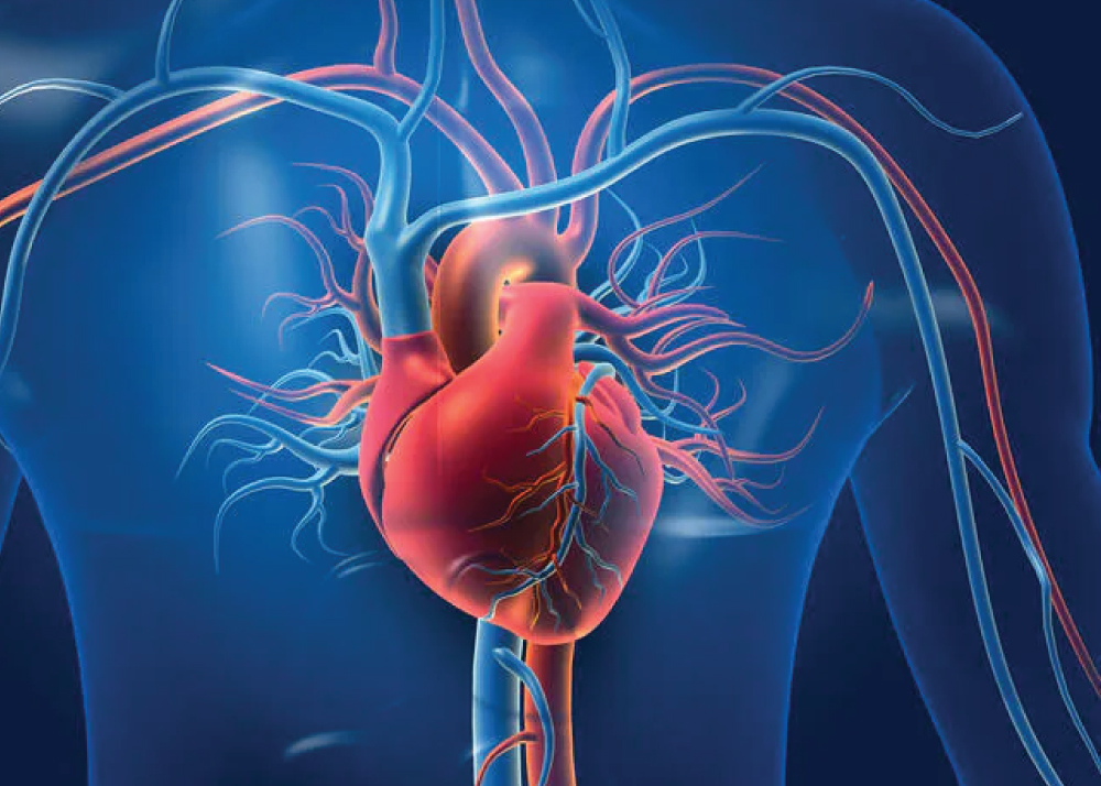 أمراض القلب