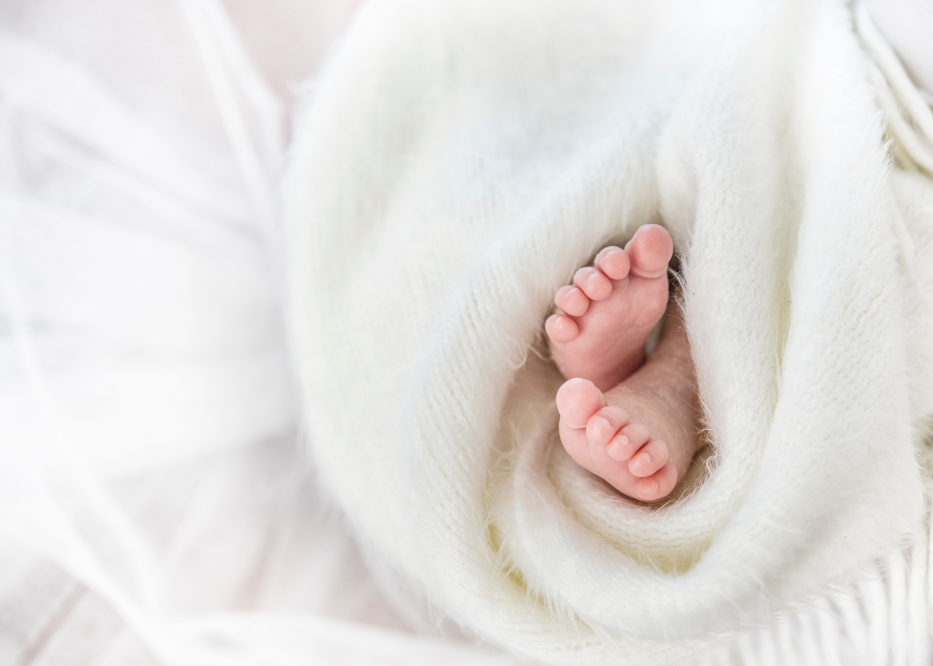 أمراض النساء والولادة