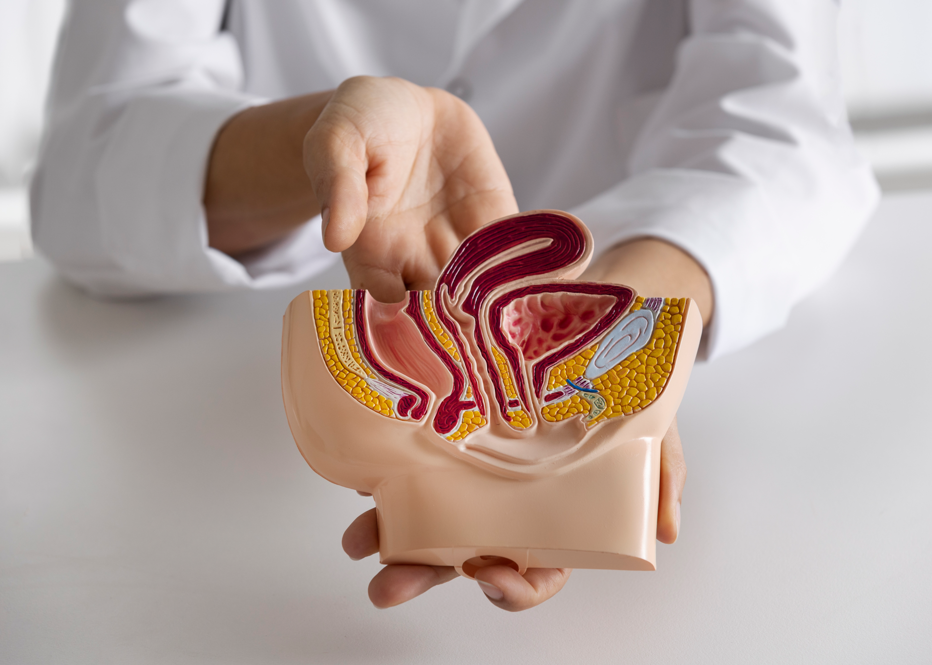 أمراض الذكورة