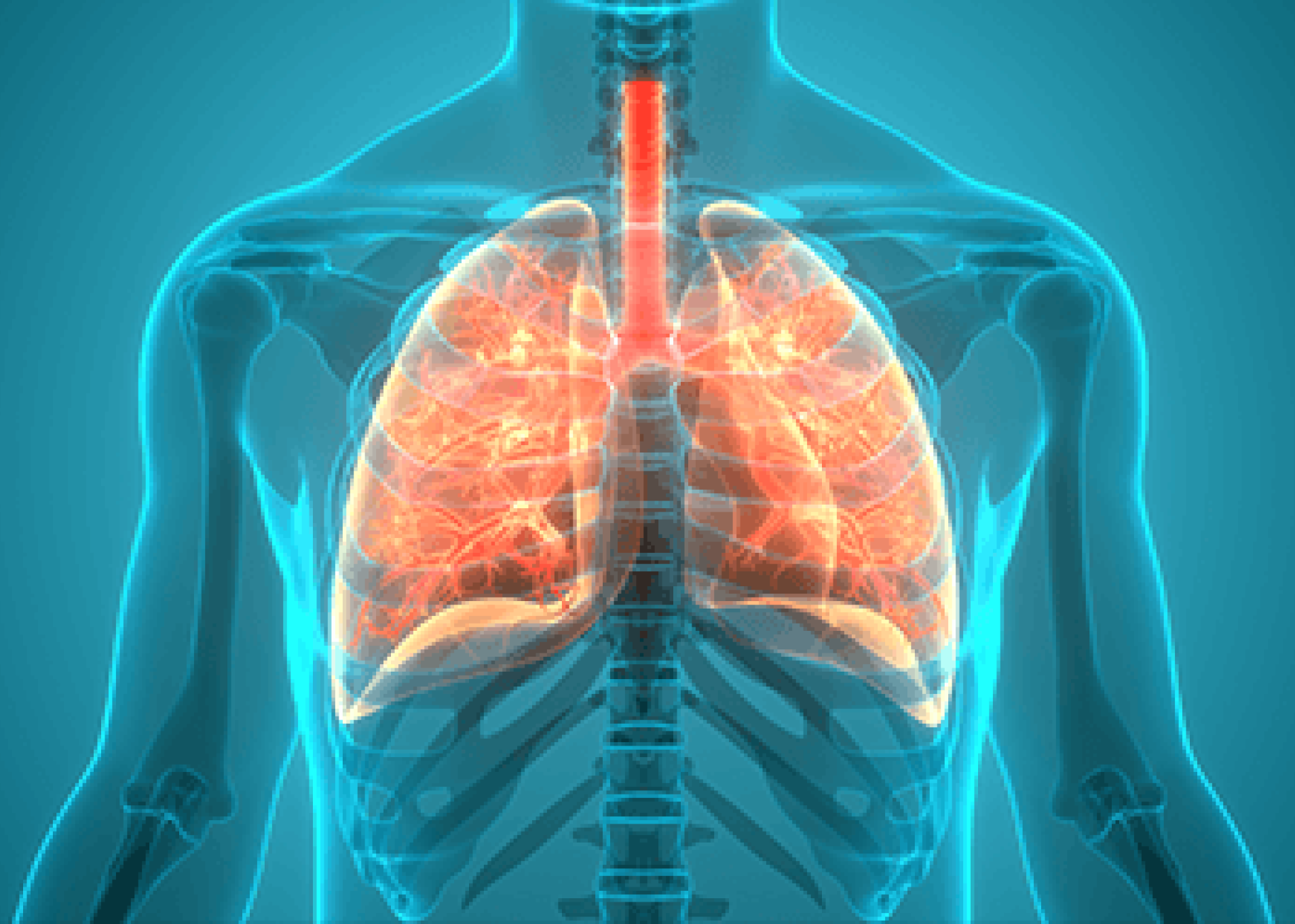 أمراض الرئة 