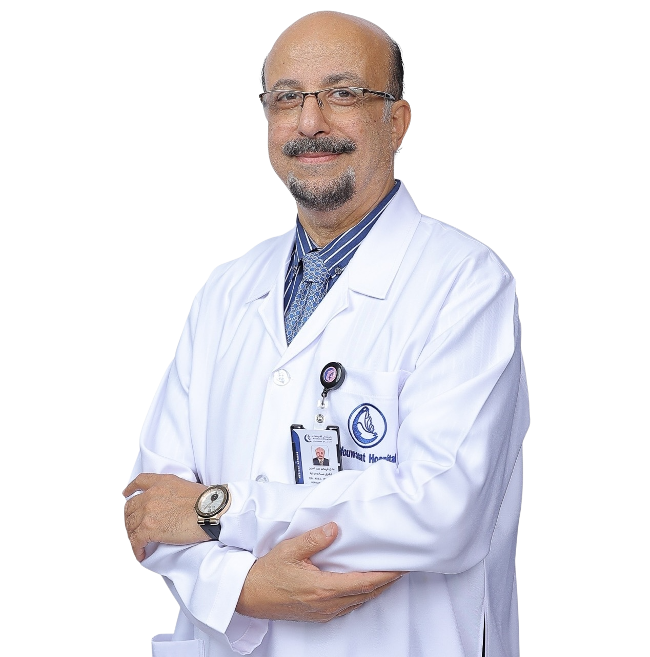 عادل فرحات عبد العزيز