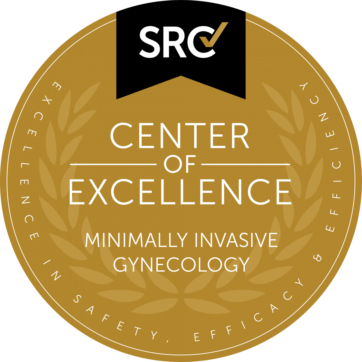Center of Excellence of Minimally Invasive Gynecology 
