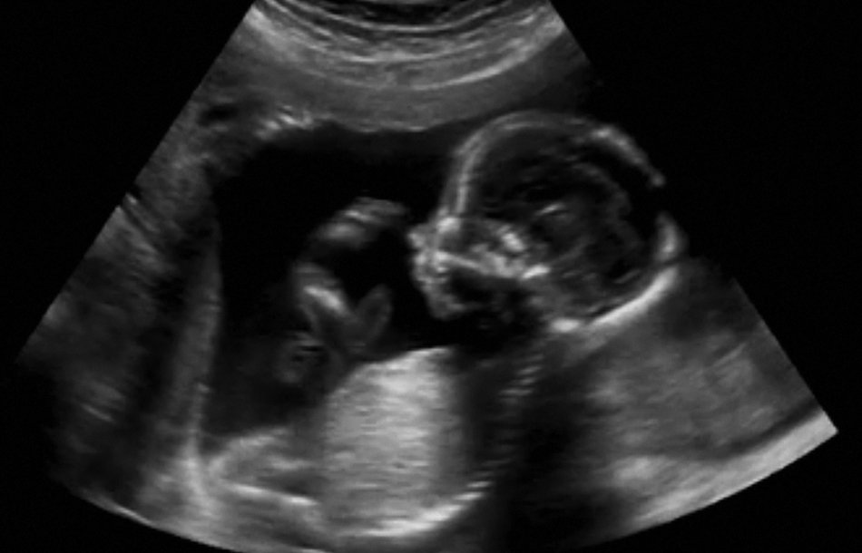 obstetrical.jpg